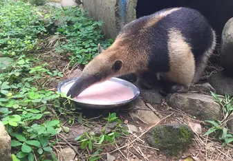 Feeding time