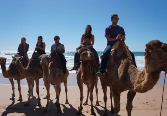 Riding Camels