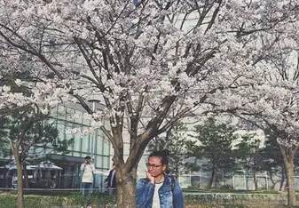 awesome blossom