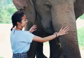 Spending the day at an elephant sanctuary.