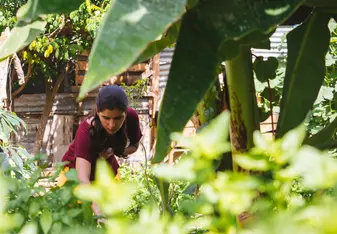 Agriculture Intern - Intern Abroad HQ