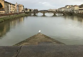 Bridge