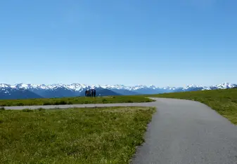 Hurricane Ridge at Olympic National Park