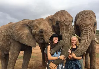 Elephant Bush Walk in South Africa
