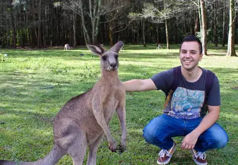 Meeting wild kangaroo