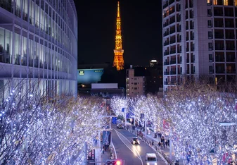 Tokyo Tower against Winter Illuminations