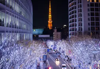 Tokyo Tower against Winter Illuminations