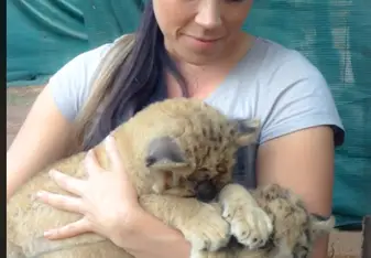 Volunteering in Africa - Baby lions