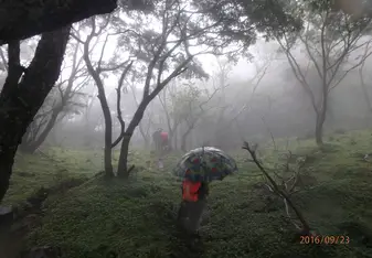 Trekking
