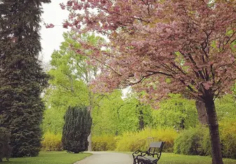 Vienna during Spring