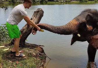 Feeding one of the elephants (Khurmari)
