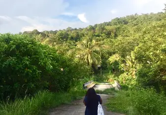 The foresty landscape in Ranong Province 