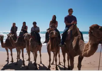 Riding Camels