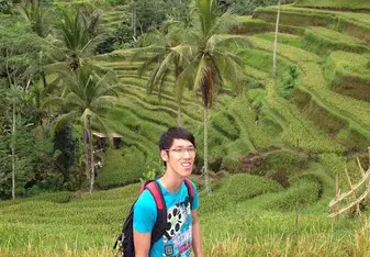 Tegalalang Rice Fields