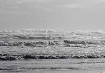 Surfing at Muriwai Beach (North Island)