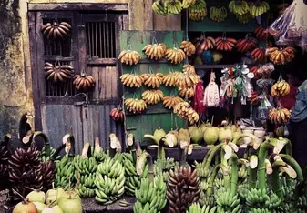 Bananas hanging on a wall in Yangon, Myanmar.