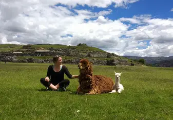 Making friends