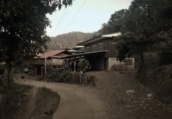 Road & Houses in Huay Pakoot