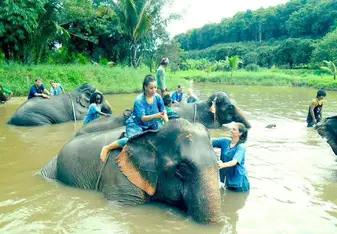 women bathing elephants in river
