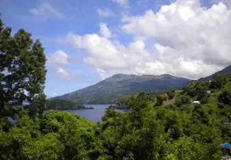 forest and water in the caribbean