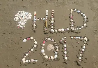 HLD 2017 made from shells at Canoa beach