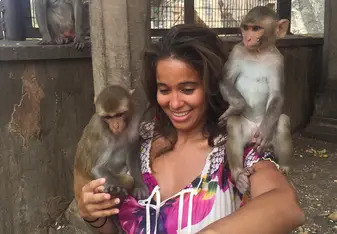 monkey temple, banana, feed, monkeys