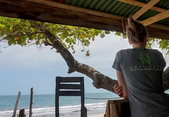 Watching the beach