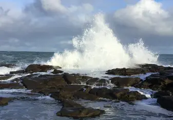 South Island New Zealand Coast 