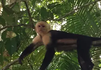 Hanging out in Costa Rica