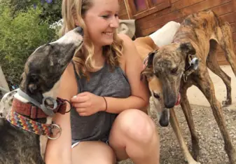 Galgos