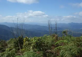 Valley Ribeira