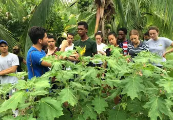 Costa Rica: Biodiversity, Ecology & Sustainability