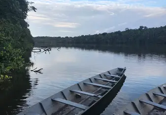 the Amazon