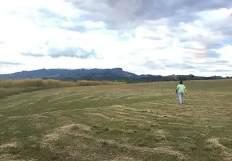 "The Sunset Spot"