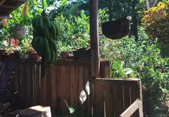 Longo Mai, Costa Rica