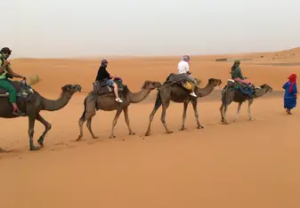 Sahara Desert
