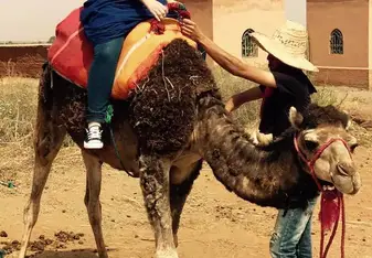 Camel Riding