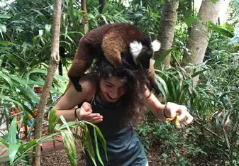 Lemurs are very friendly!