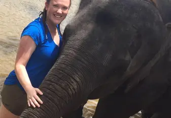 Elephant experience 