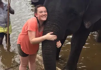 Elephant experience 