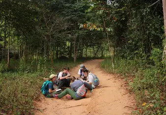 Taking notes on the forest floor 