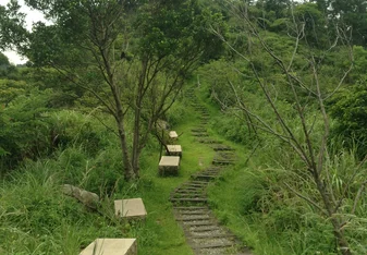 Lost in Maokong