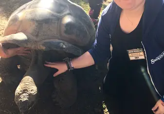 First day volunteering and I'm already meeting animals 