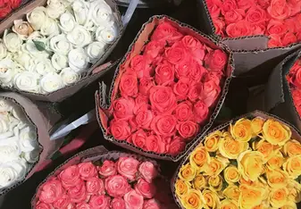Flower Street
