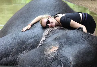 Elephant Experience