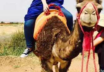 woman on camel in desert