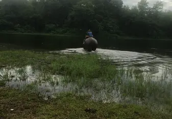Bathing my elephant, Red Moon, in the morning 