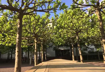 The Jewish Museum Gardens