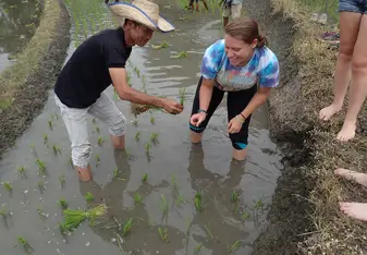 Learning to plant rice with locals!