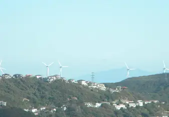 Wellington